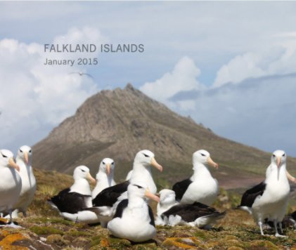 Falkland Islands January 2015 book cover