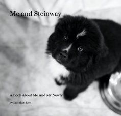 Me and Steinway book cover