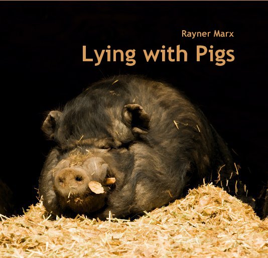 View Lying with Pigs by Rayner Marx