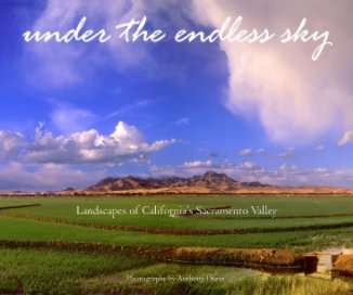 Under the Endless Sky book cover