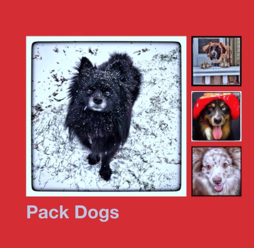 Ver Pack Dogs por Kathy Leistner