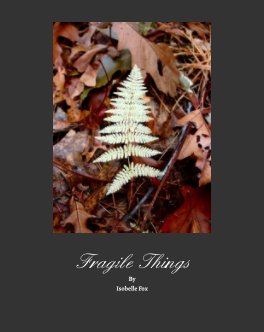 Fragile Things book cover