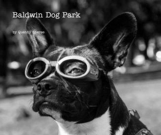 Baldwin Dog Park book cover