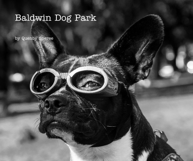 Ver Baldwin Dog Park por Quenby Sheree