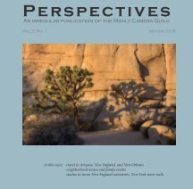 Perspectives, Vol. 3 no. 1 book cover