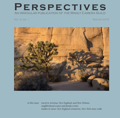 View Perspectives, Vol. 3 no. 1 by Birnbaum (ed.), et al.