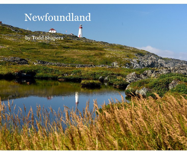 View Newfoundland by Todd Shapera