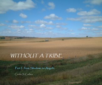 Without A Tribe book cover