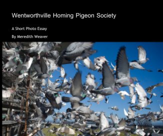 Wentworthville Homing Pigeon Society book cover