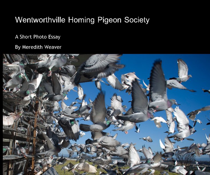 View Wentworthville Homing Pigeon Society by Meredith Weaver