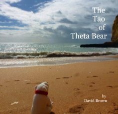 The Tao of Theta Bear book cover