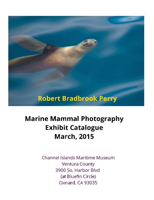 View Santa Barbara Channel - Marine Mammal Photography by Robert Perry