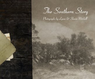 The Southern Story book cover