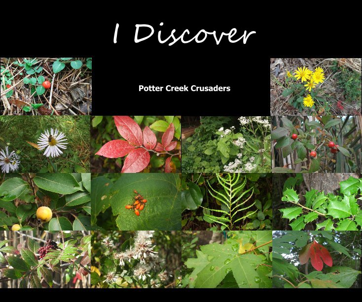 View I Discover by Potter Creek Crusaders