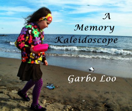 A Memory Kaleidoscope book cover