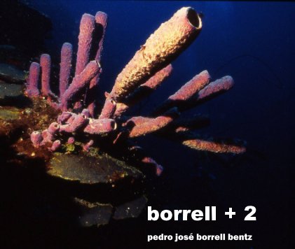 borrell + 2 book cover