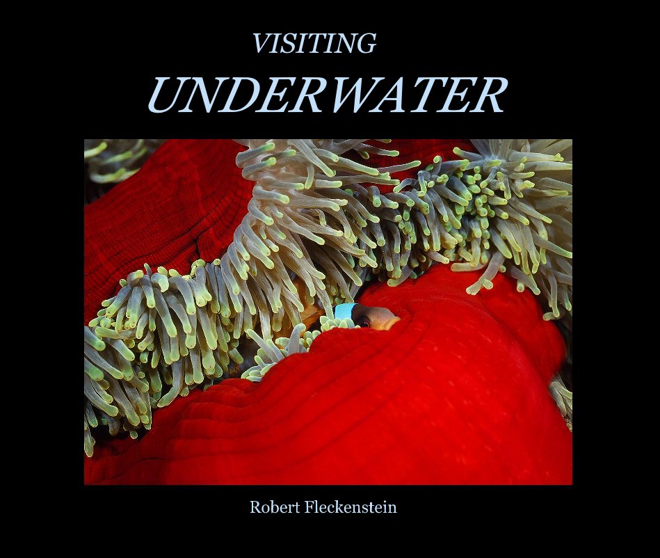 View VISITING UNDERWATER by Robert Fleckenstein