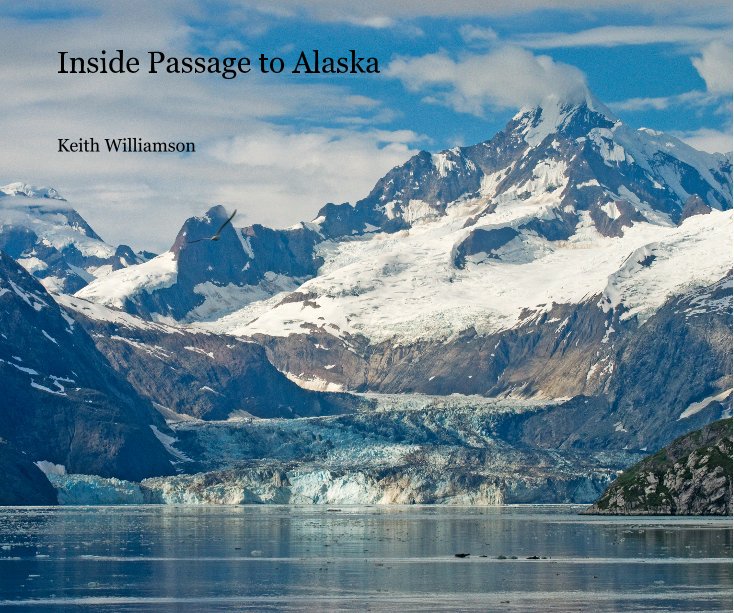 View Inside Passage to Alaska by Keith Williamson