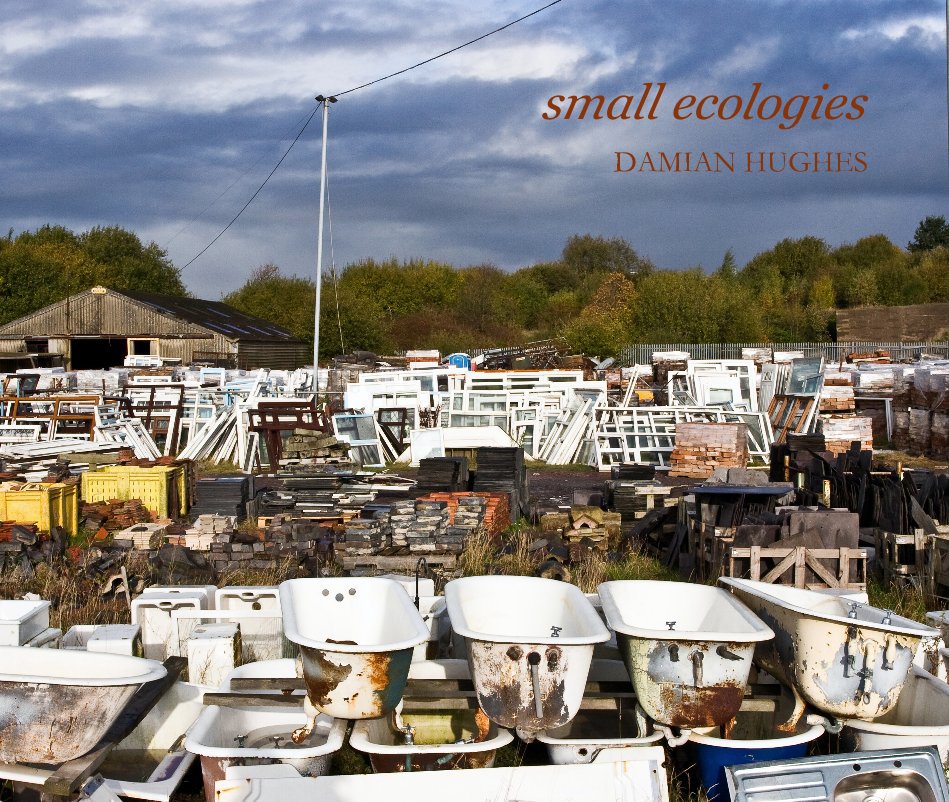 Ver Small Ecologies por Damian Hughes