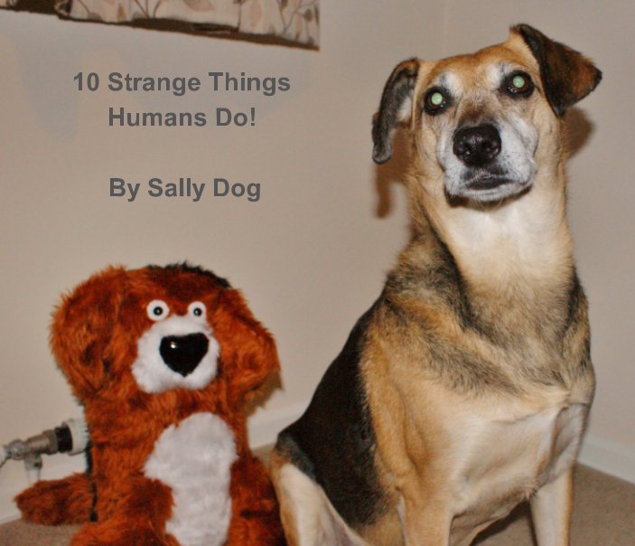 Ver 10 Stange Things Humans Do por Sally Dog