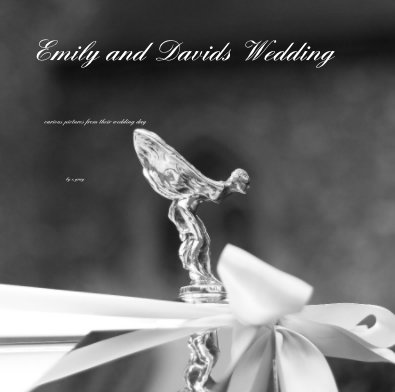 Emily and Davids Wedding book cover