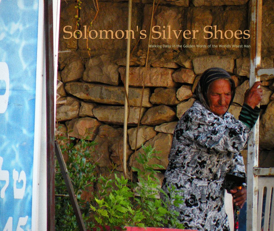 View Solomon's Silver Shoes by Steven John Thompson