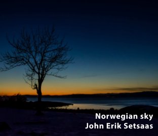 Norwegian Sky I book cover