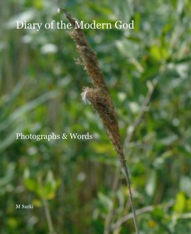 Diary of the Modern God book cover