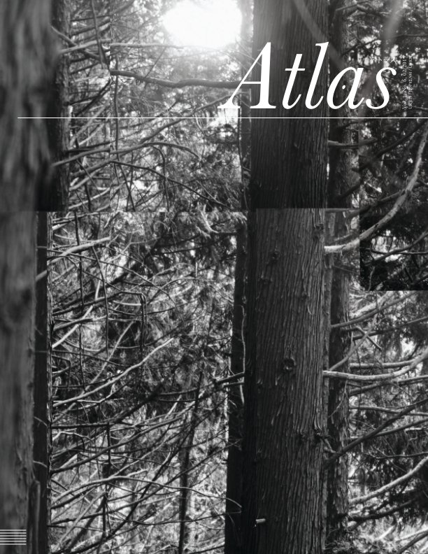 View Atlas Vol.1 No.6 by Gary McLeod