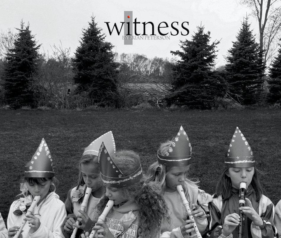 View Witness by Brian Peterson