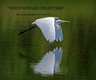 "GOD'S WINGED CREATURES" book cover