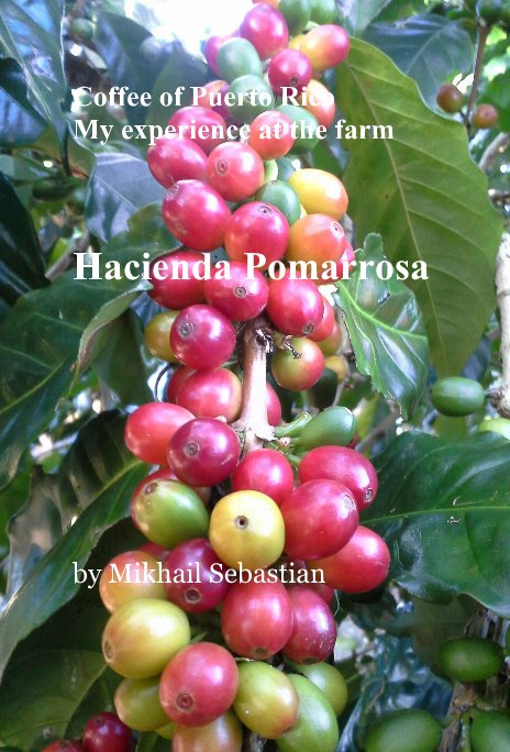 Ver Coffee of Puerto Rico My experience at the farm Hacienda Pomarrosa por Mikhail Sebastian