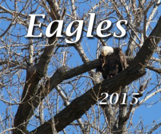 Eagles 2015 book cover