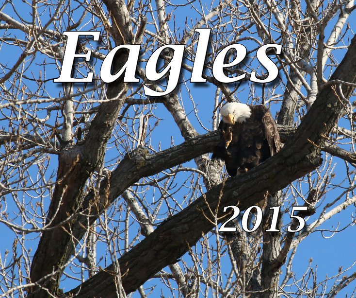 Ver Eagles 2015 por Carl DiMaria