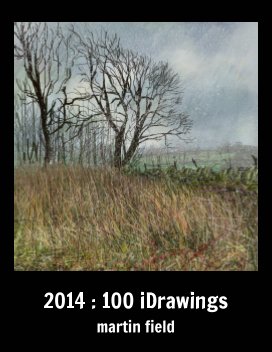 2014 :100 iDrawings book cover