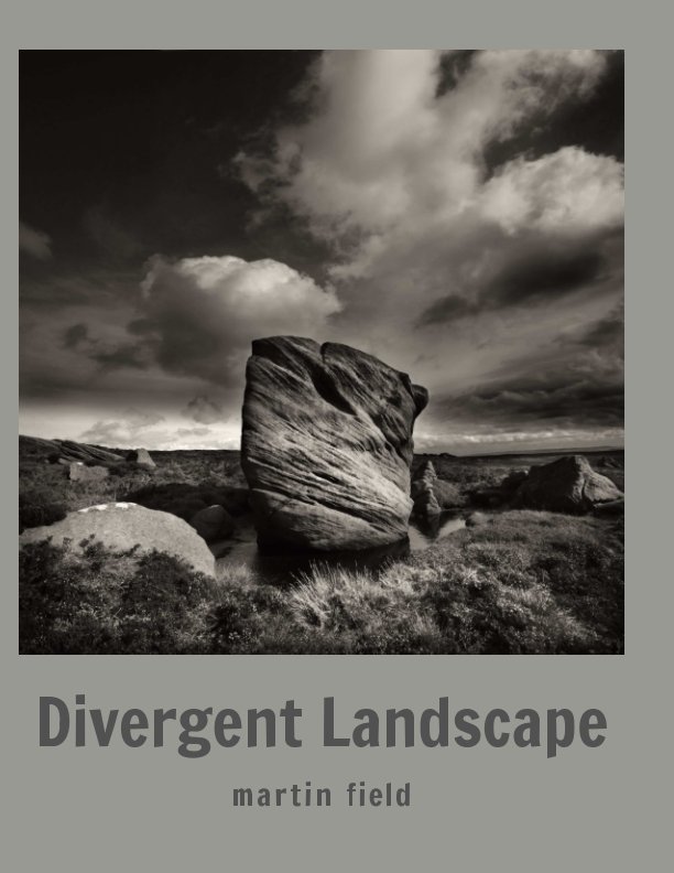 View Divergent Landscape by Martin FIeld