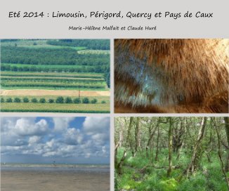 Eté 2014 : Limousin, Périgord, Quercy et Pays de Caux book cover