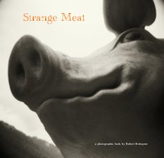 Strange Meat book cover