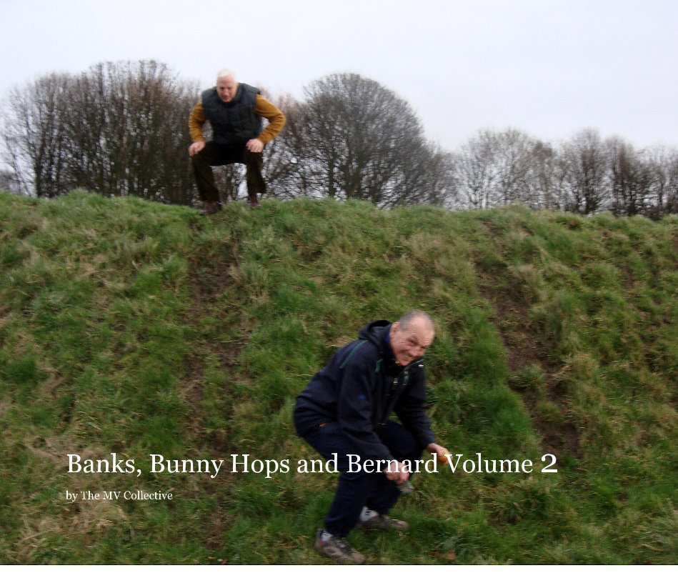 View Banks, Bunny Hops and Bernard Volume 2 by The MV Collective