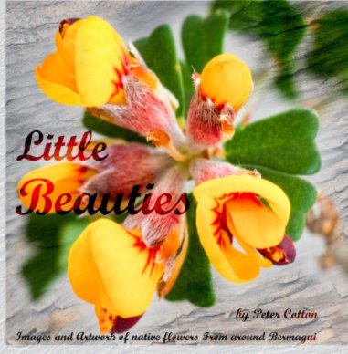 Little Beauties book cover