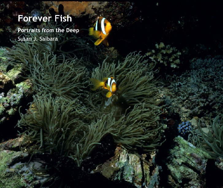 View Forever Fish by Susan J. Saibara