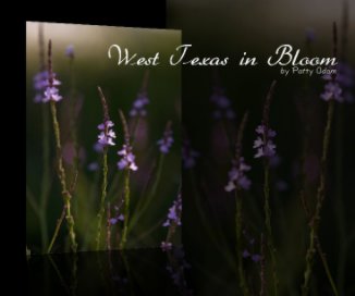 West Texas in Bloom book cover