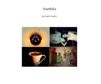Portfolio book cover