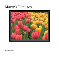 Marty's Pictures book cover