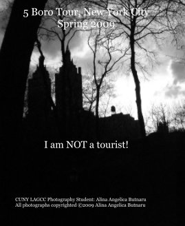 5 Boro Tour, New York City Spring 2009 book cover