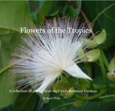 Flowers of the Tropics book cover