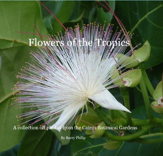 View Flowers of the Tropics by Barry Philip
