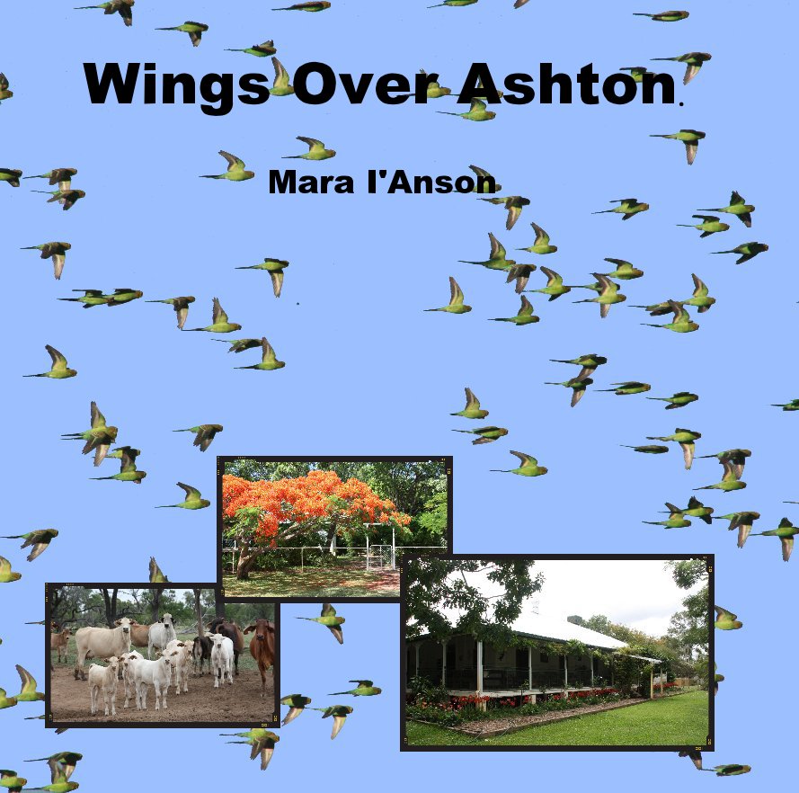 View Wings Over Ashton. by Mara I'Anson