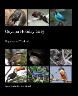 Guyana Holiday 2013 book cover