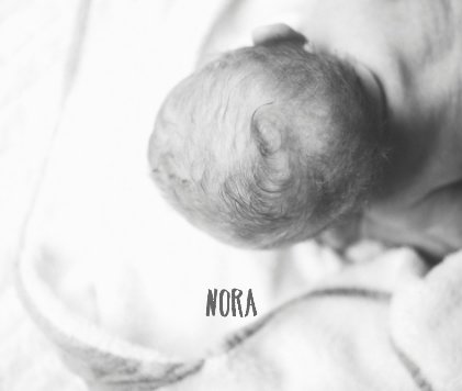 nora book cover